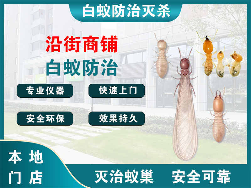 惠山沿街商铺白蚁防治