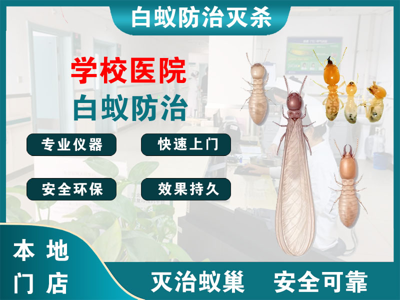 惠山学校医院白蚁防治