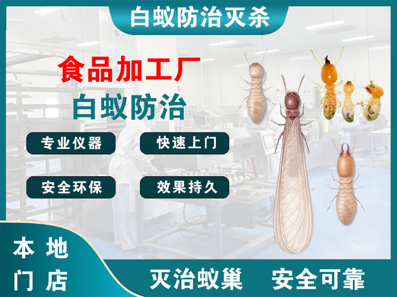 惠山食品加工厂白蚁防治