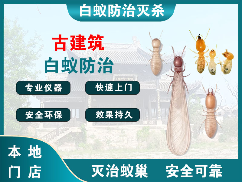 惠山古建筑白蚁防治