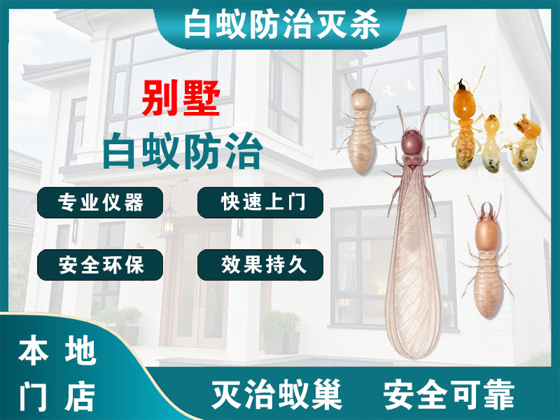 惠山别墅白蚁防治