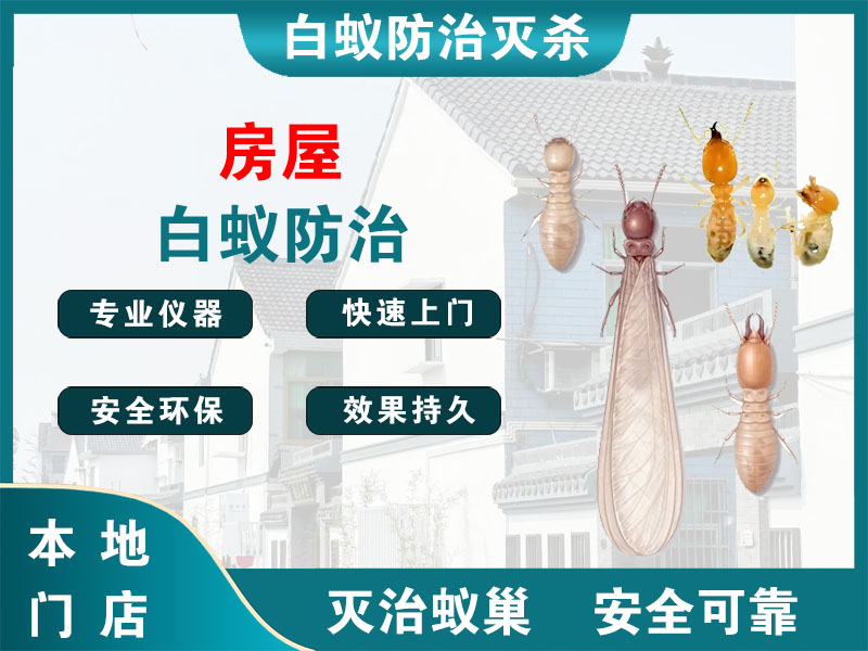 惠山房屋白蚁防治